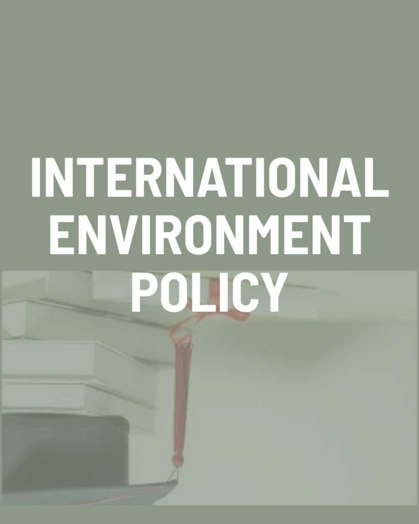International Environment Policy