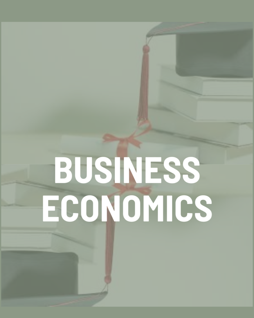 Business Economics
