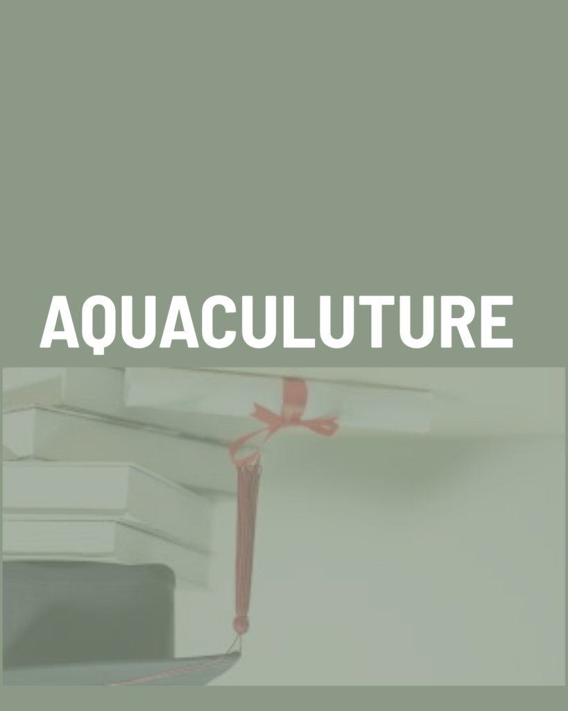 Scholarships Display 13 Aquaculture